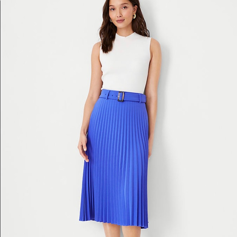 Pleated Midi Skirt